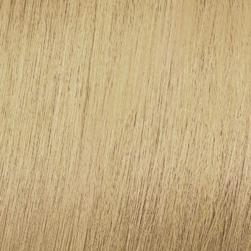 Hair dye Mood Color Cream Vegan 10 Platinium Blonde100ml  